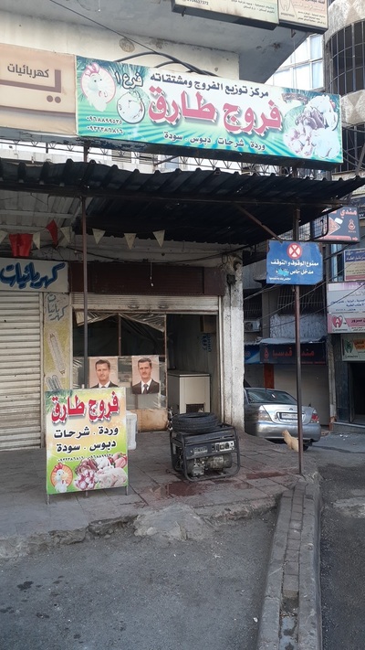 فروج طارق