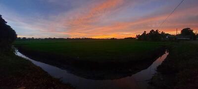 കാപ്പിൽമുട്ട് ഷാപ്പ്