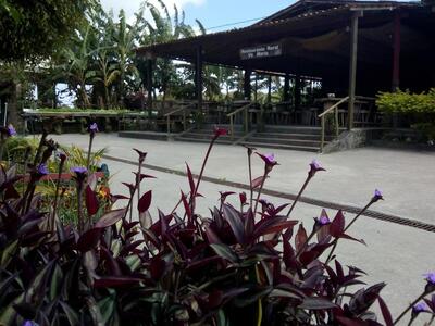 Restaurante Rural Vó Maria