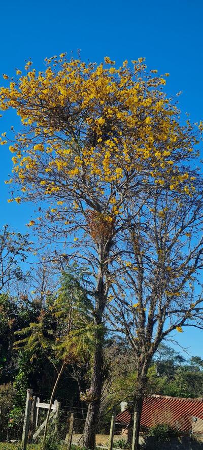 Mercearia do Claudião e Pousada dos Tigres