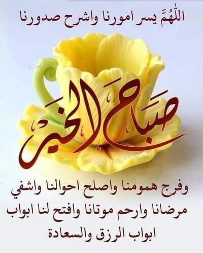 مشويات الشيف اشرف ابوياسين