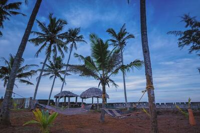 Coconut Cove Beach Resort, Varkala