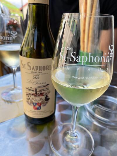 Espace de la papille