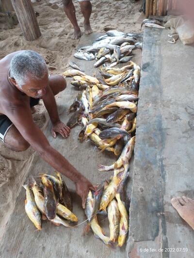 Quiosque Raio de Sol