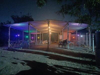 Faizan Chicken Mamna