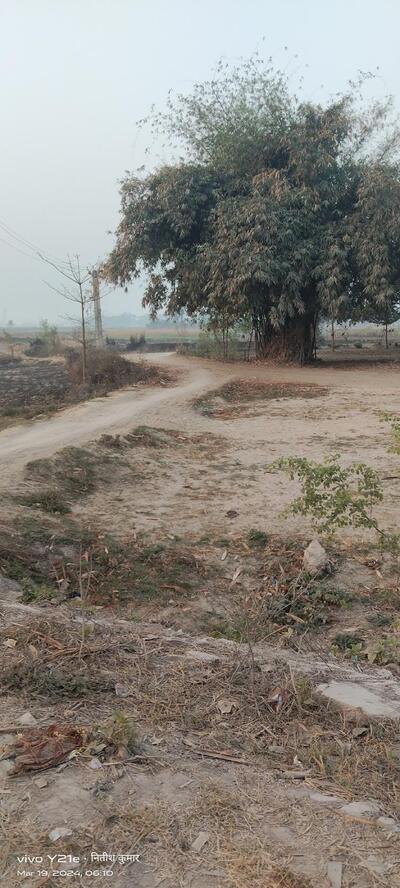 मंझरिया नोनिया टोला