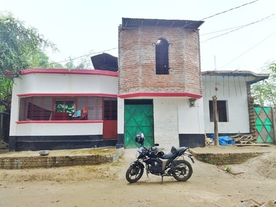 Aliul