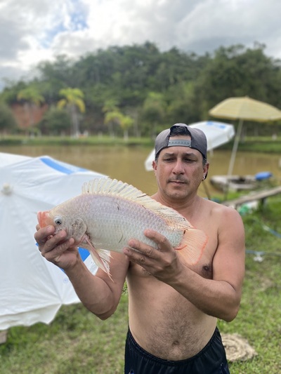 Pesqueiro Tilápia Club