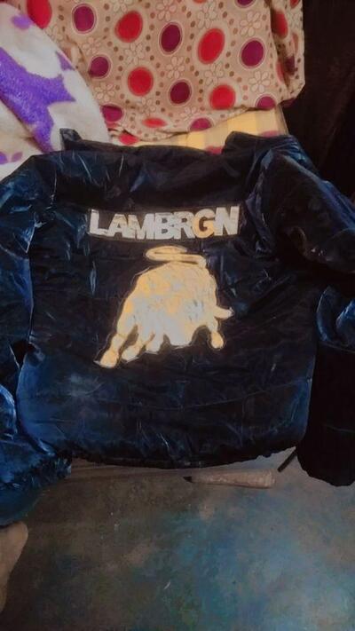 Om Namah Shivay Dhava