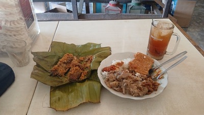 Warung Makan Sederhana Depan POM Balerejo