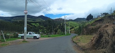 Flor de Paramo