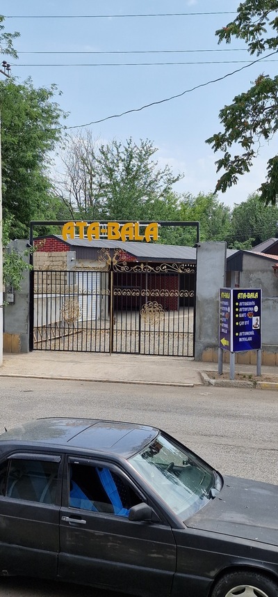 ATA BALA