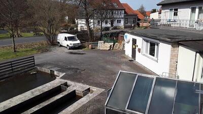 Fisch Apel