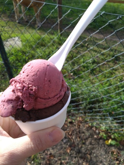 Bel Gelato Eismanufaktur mit Werksverkauf