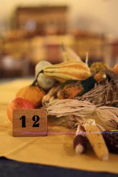 Agriturismo Il Mulino di Lisa Brunetta