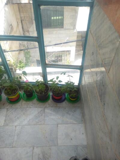 چلوکبابی سلطانی