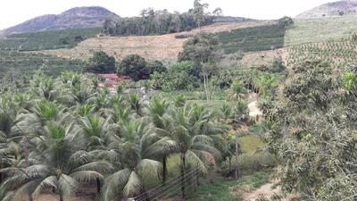 Supermercado brumati