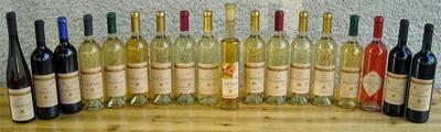 Lime Winery Kft.