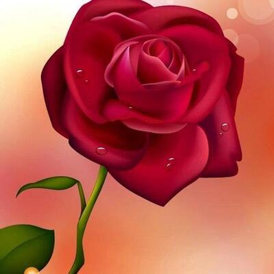 Akta Chicken & Chinese