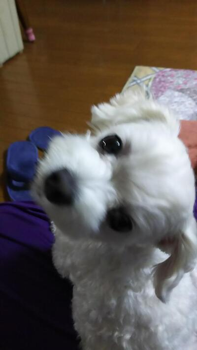 妙