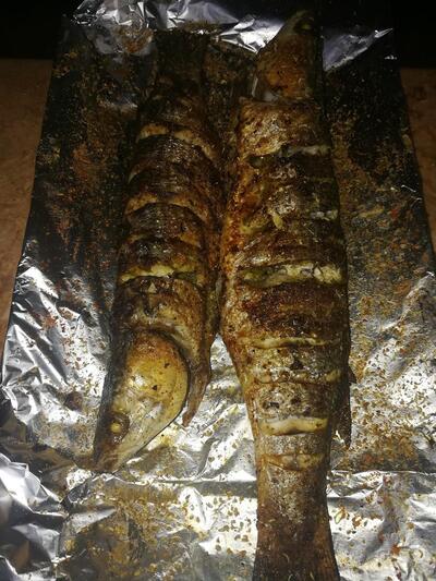 El Motawakel Ala Allah Fish