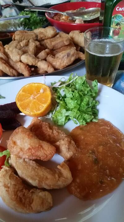 Cachoeira das Palmeiras