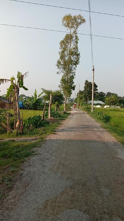 খাঁন কফি হাউস