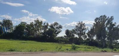 Radhika Resort photo