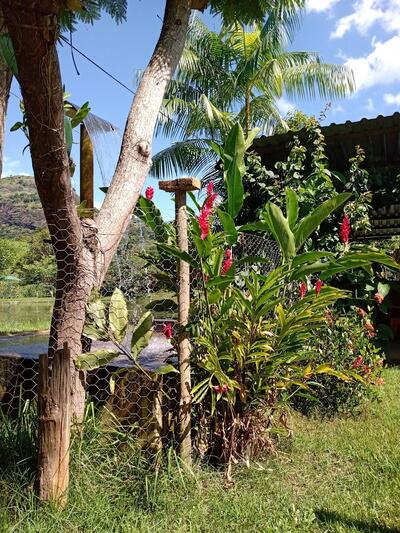 Restaurante Pesque e Pague Tabuinha