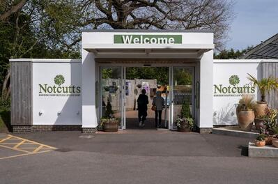 Notcutts Garden Pride