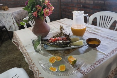 YANI Gastronomía, Arte y Cultura