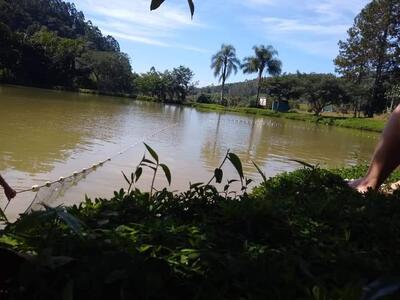 Pesque Pague Schmidt