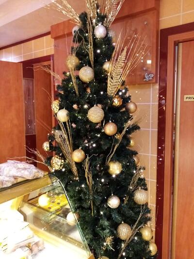 Ori Giuseppe Gaetano E C. Snc