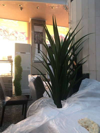 مطعم النجف الأشرف