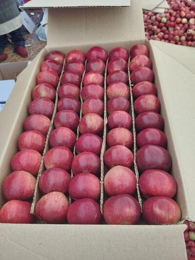 SHREE MAHALAXMI SWEETS