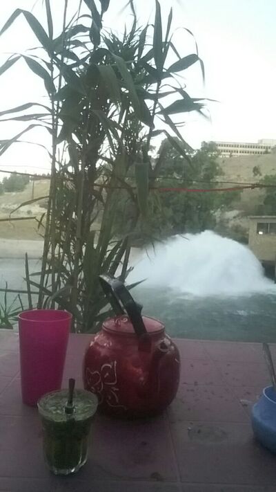 مطعم شلات لعاصي