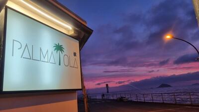 Palmaiola tacos & more