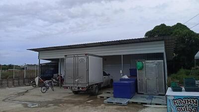 รังสรรค์น้ำเเข็ง