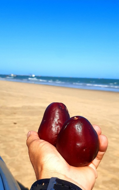 Bar do Bigode Praia do Peba - AL
