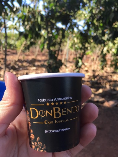 Don Bento - Café Especial