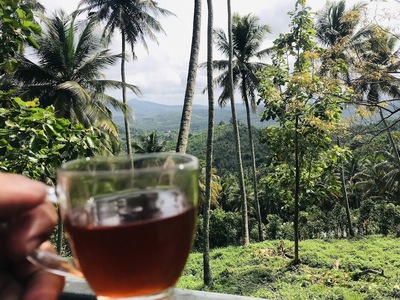 Rasa Bojana