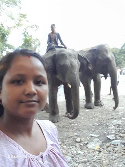 North East Dhaba&fastfood