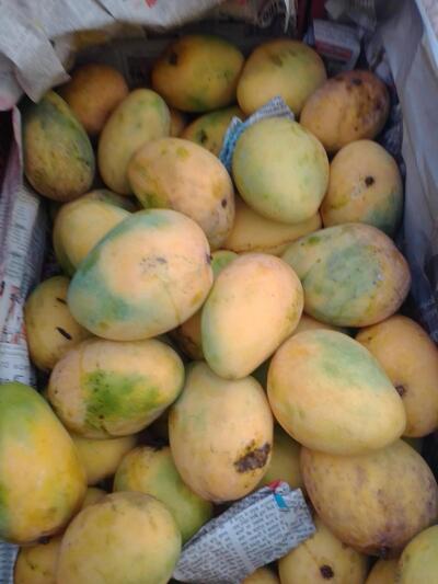 Surya Tea Stall NRT CENTER