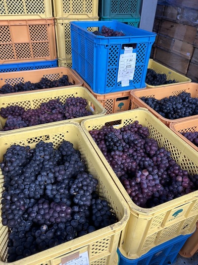 Winery