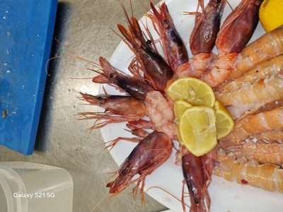 Il Sogno Pizzeria Trattoria