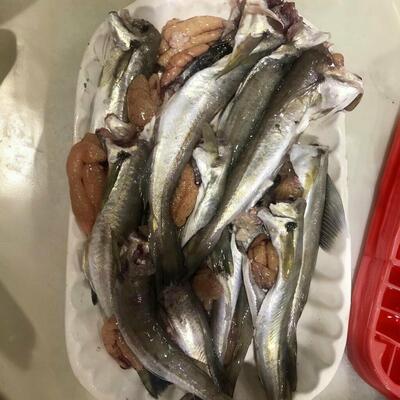 Rafet's Place Fish Restaurant