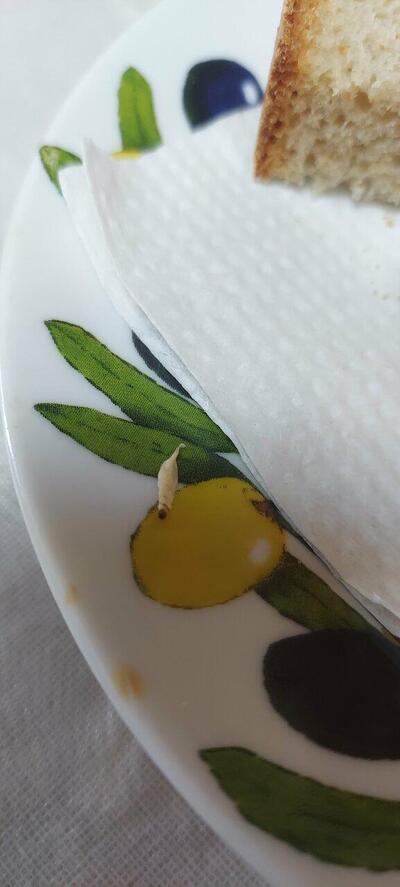 Закусочная Встреча