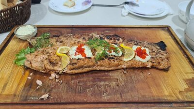 Forel