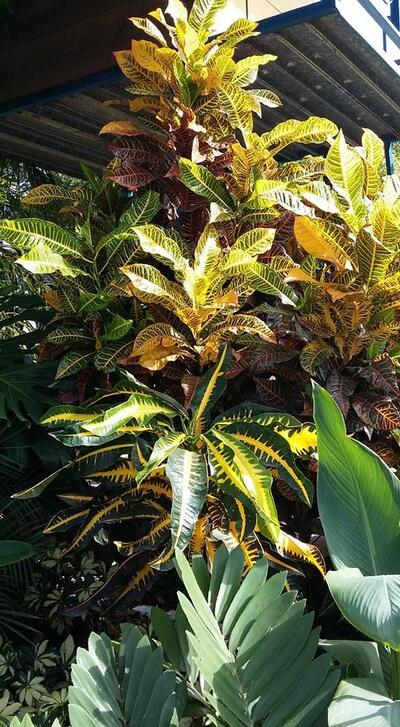 Finca Agroturistica El Manantial
