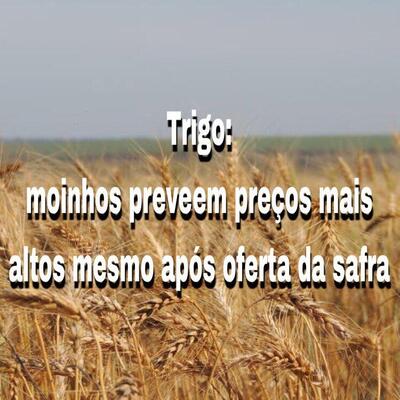 PANIFICADORA NOVO SABOR